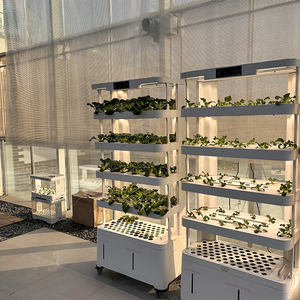 Mini torre de cultivo de interior hidropónico aeropónico con luz LED inteligente para el hogar, sistema vertical automático con componente de núcleo de bomba - Product Image 4