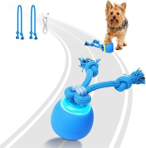 Jouet pour <span class=keywords><strong>chien</strong></span> en <span class=keywords><strong>plastique</strong></span> rechargeable interactif activé par le toucher, <span class=keywords><strong>balle</strong></span> en caoutchouc active qui roule pour les chiots et les chiens de taille moyenne - Product Image 1