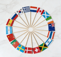 Mini-drapeaux pour cure-dents, étiquettes alimentaires pour buffet de fête, mini-drapeaux pour cocktail, marqueurs alimentaires