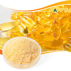 Polvo de gelatina de res hidrolizada transparente Bloom sin sabor, ingredientes de hueso de vaca de pescado comestible Halal, aditivos alimentarios secos en hielo sabrosos - Product Image 6