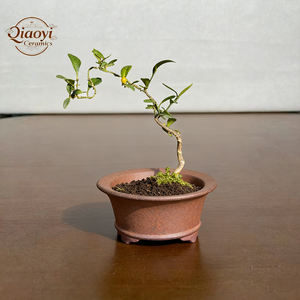 Macetas <span class=keywords><strong>de</strong></span> bonsái Yixing redondas pequeñas macetas <span class=keywords><strong>de</strong></span> arcilla púrpura artesanía artesanal con drenaje Superior eleva tu habitación y decoración tipo encanto - Product Image 1