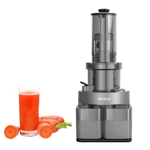 Commercial Machine Slow Stainless Steel Citrus Juicer Orange