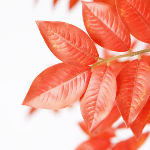 Árbol de Pera Artificial Amarillo de 230 cm con Hojas Rojas en Maceta, Planta Realista para Decoración de Interiores de Hogar u Oficina - Product Image 4