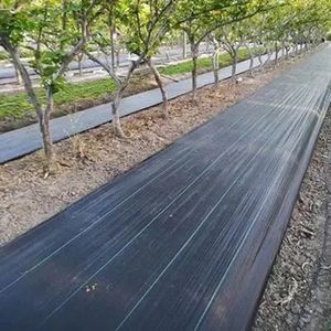 Telo Paesaggistico Anti-UV Resistente alla Degradazione, Adatto per Orticoltura e Serre, Tappeto Barriera Antierba, Tessuto Paesaggistico, Tappeto per il Controllo delle Erbacce - Product Image 5