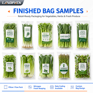 Maquinaria <span class=keywords><strong>de</strong></span> Empaquetado para Champiñones, Tomates, Verduras Frescas, Frutas y Cebollitas - Product Image 2