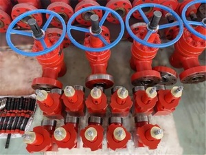 โช้ค API6A ขั้นสูงสำหรับการควบคุมท่อส่งน้ำมันและก๊าซ - Product Image 3