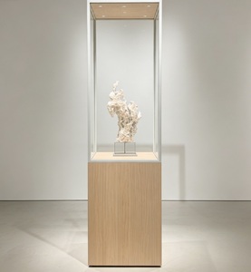 Vitrine <span class=keywords><strong>d</strong></span>'exposition de musée <span class=keywords><strong>moderne</strong></span> sur mesure, cadre en bois massif, vitrines en verre avec éclairage LED pour exposition <span class=keywords><strong>d</strong></span>'<span class=keywords><strong>art</strong></span> - Product Image 2