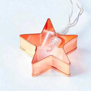 Guirnalda de Luces LED de Estrella Metálica de 10L, Funciona con Pilas, Luz Blanca Cálida, con Función de Iluminación, para Decoración de Árboles de Navidad, Hogar, Hotel, Fiestas - Product Image 2