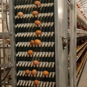 Nhà Máy bán hàng trực tiếp gia cầm trang trại lớp Lồng trứng tự động Bộ sưu tập thiết bị - Product Image 2