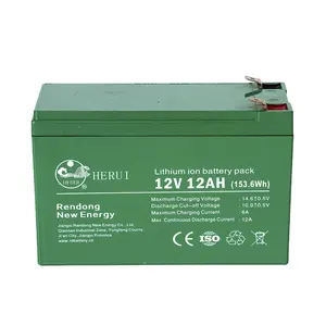 Schlussverkauf Lipo 12 V 12 Ah Li-Ion-Lithium-Batteriepack mit geringem Gewicht Elektrofahrrad-Scooter 12 V 12 Ah-Batterie