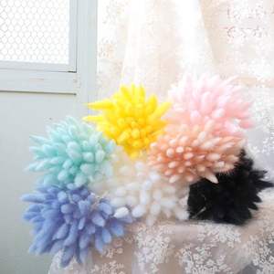 Détor de mariage séché préservé queue de lapin herbe fleur multicolore queue de lapin herbe pour décorations pour la maison bricolage Bouquet - Product Image 3