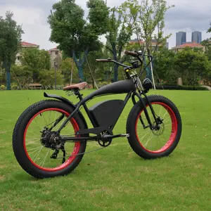 铝合金车架26*4.0英寸胖轮胎7速电动自行车1000瓦ebike