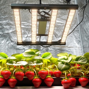 Lampes de culture pliables compactes 240W à spectre complet pour semis d'intérieur, jardins de balcon et petits espaces - Product Image 5