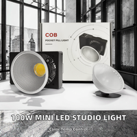 Mini projecteur LED professionnel 100W en métal, haute qualité, température de couleur réglable, alimentation DC/batterie, éclairage photographique bicolore pour studio