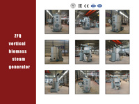 0.2t/h Biomass Steam Boiler Touch Screen Smart PLC Control, Fully Automatic Operation, Energy Saving Steam Generator Boiler