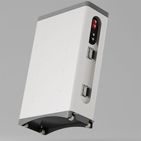 Onduleur 51.2V 100Ah 200Ah 5-10kWh LiFePO4 Split IP65 CAN Station d'alimentation portable murale Hybride Réseau 6000 Cycles CE Garantie 3 ans