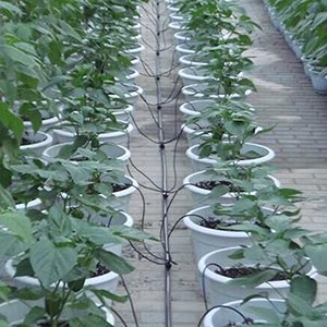 TRILITE 4 Branches Flèche Courbée Système D'irrigation De Jardin <span class=keywords><strong>Arrosage</strong></span> Automatique Plier Arrow Outils De Jardinage Équipement - Product Image 5