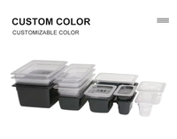Bacs alimentaires en polycarbonate plastique certifiés NSF, incassables, résistants à la chaleur (200°F), pour tables à vapeur, buffets, traiteur