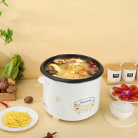 Olla Arrocera Eléctrica Antiadherente de Hierro, Vaporera Combinada, 2L-6L, con Taza Medidora, Paleta, Control de Temporizador Digital Inteligente, Ecológica