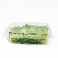 Deli Container 32Oz Huisdierencontainer Voor Producten, Snacks, Plastic Fruit Veilig T Verse Sabotage Duidelijk Clear Clamshell Containers