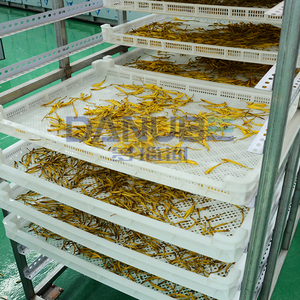 Highly Efficient Vegetable Drying Room Daylily Dehydrator Machine Daylily Drying Oven Room Heated Drying Room - Product Image 4