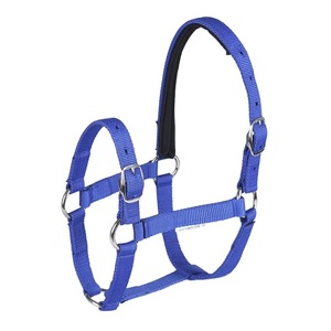 Productos Ecuestres para Deportes al Aire Libre, Collares Acolchados Lisos para Caballos, de un Proveedor Premium para Equitación - Product Image 5