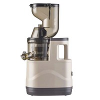 Extracteur de Jus Électrique Multifonction et Séparateur de Pulpe, Compact, pour Jus de Fruits et Légumes et Lait de Soja