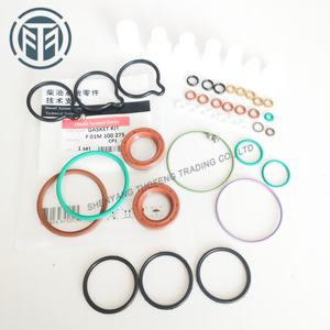 Высококачественный Комплект прокладок насоса CP1 F01M100275 или F 01 м 101 454 для насоса BOSOH - Product Image 4