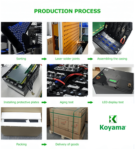 Koyama Lithium Iron Phosphate <b>Battery</b> <b>24V</b> 50Ah 100Ah 200Ah <b>Batteries</b> for Marine Golf Cart Home Energy Solar Storage - Product Image 6