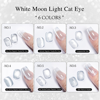 ZRKGEL Nouvelle Arrivée 6 Couleurs Gel UV Magnétique Effet Œil de Chat Non Toxique Longue Durée Séchage Rapide Kit de Vernis Gel DIY