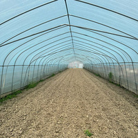 Système d'agriculture hydroponique pour la culture de fraises et de champignons, serres à simple portée, tunnel de serre en film PO/PE, fabrication OEM