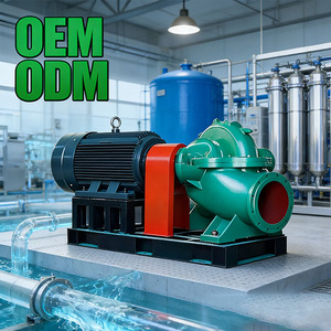 Single Stage High Pressure Double <b>Suction</b> <b>Pump</b> - SH Series Stainless Steel High Power Electric Industrial <b>Pump</b> - Product Image 6