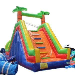 Waterslide Inflatable Inflatable Bouncer Manufacture Castle Indoor Inflatable Bouncers