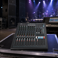 Consola de Mezcla de Audio Digital Profesional DSZ DS-12P-4 de 12 Canales con Entradas XLR, Salidas USB, 30W, 100-240V para Eventos en Vivo