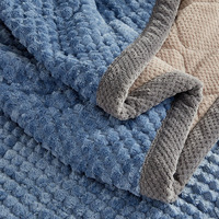 Couverture Polaire Matelassée Double Couche en Flanelle Écologique, Taille Personnalisée, Motif Dessin Animé, Douce et Moelleuse Effet Popcorn pour la Maison