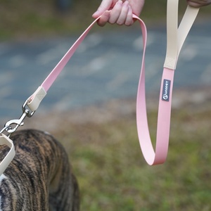 Logo personalizzato della fabbrica diretta in PVC moda impermeabile a contrasto Macaron colore Pet guinzaglio guinzaglio cane e collare Set per esterni - Product Image 5