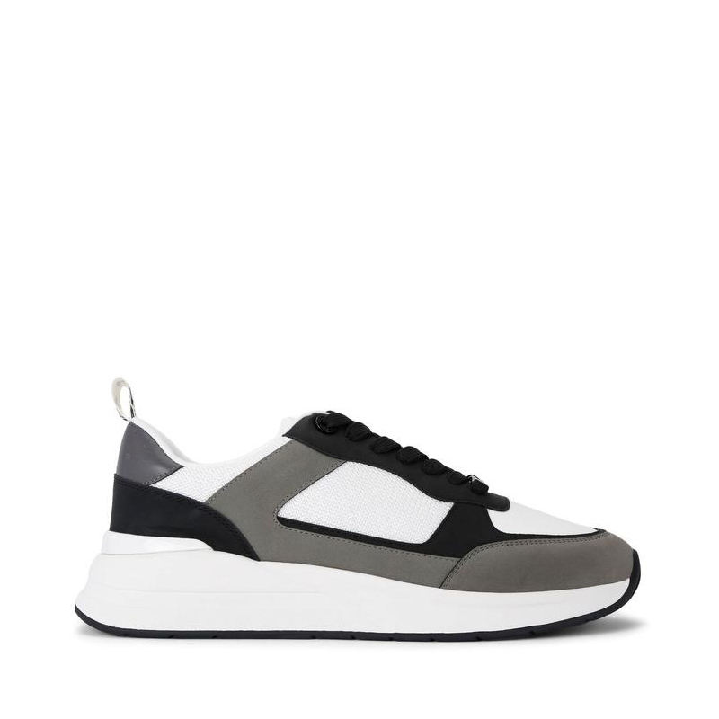 Color scheme Color 1