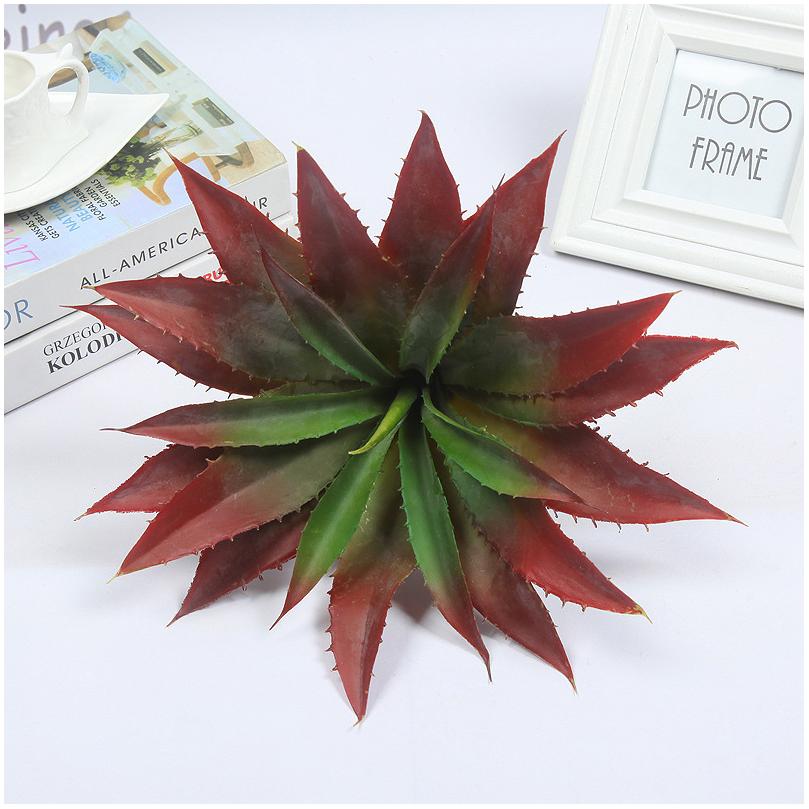 21 leaf sharp horn aloe vera red 31x26cm 180.3g