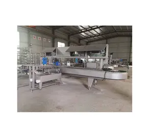 Chocolate enrobing ice cream bars extrusion hardening tunnel production line