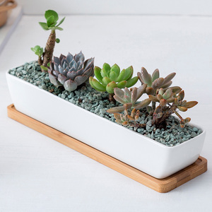 Dropshipping, maceta suculenta de cerámica blanca de 11,1 pulgadas, platillos de bambú, forma rectangular Rectangular para el hogar, jardín y oficina - Product Image 2