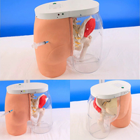 Simulador de Enseñanza Médica BIX-H5T, Simulador de Entrenamiento de Inyección Intramuscular en Glúteos de PVC para el Aprendizaje de Anatomía