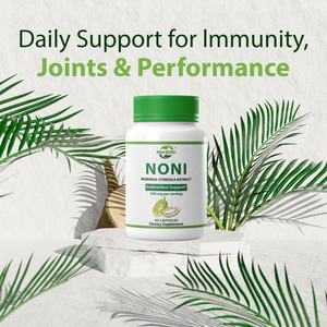 Cápsulas de Fruta Noni OEM ODM 500mg - Antioxidantes, Suplemento Herbal para una Digestión y Energía Saludables, Apoyo Inmunológico, Vegano - Product Image 3