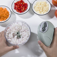 Keuken Roestvrij Staal Handmatige Voedsel Vlees En Groente Mini Knoflook Snijder En Molen Pp Plastic Handleiding