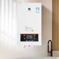 Cycleur rapide à faible bruit Portable apparence délicate chauffe-eau sans réservoir chauffe-geyser d'eau à gaz naturel en acier inoxydable