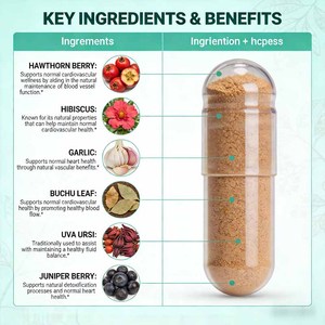 Fabrika Kan Basıncı Kapsülü Alıç Meyvesi Kalp Dolaşımını Destekler Kardiyovasküler Sağlığı Bitkisel Takviyeler - Product Image 6