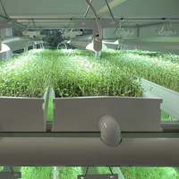Système de culture hydroponique commercial pour plantes, avec culture aéroponique, canaux NFT, germination d'orge, fourrage animal, germination de haricots et plateau de semis