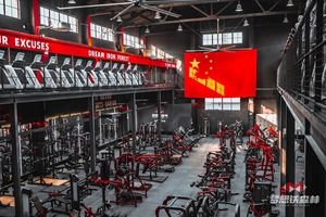 Máquina de Press de Pecho y Hombros con Carga de Placas SK, Venta Directa de Fábrica, Equipo de Gimnasio para Entrenamiento de Fuerza - Product Image 6