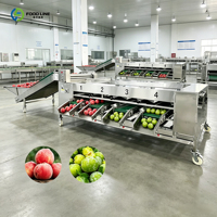 Systeem voor het sorteren van fruit en groenten op kleur voor grote voedselverwerkingsbedrijven