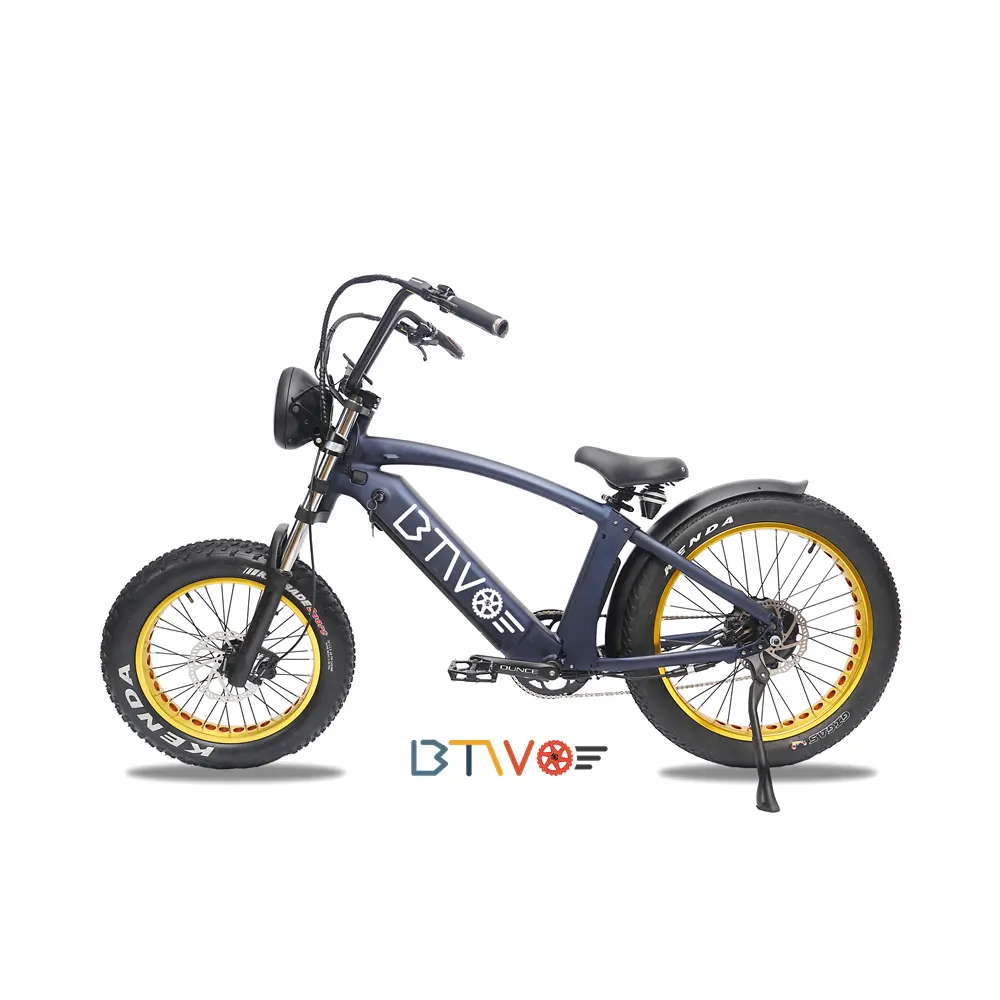 48V Brushless Motor 250W/ 350W/ 500W/ 750W/ 1000W Big Power 26*4.0in Tire Beach Riding Fat Tire Electric Bike