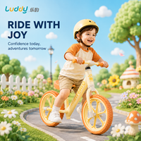 Vélo d'équilibre pour enfants Luddy Wholesale OEM B.Duck en alliage de magnésium, léger, sans pédales, vélo d'apprentissage pour tout-petits, pneus EVA, âges 2-6 ans
